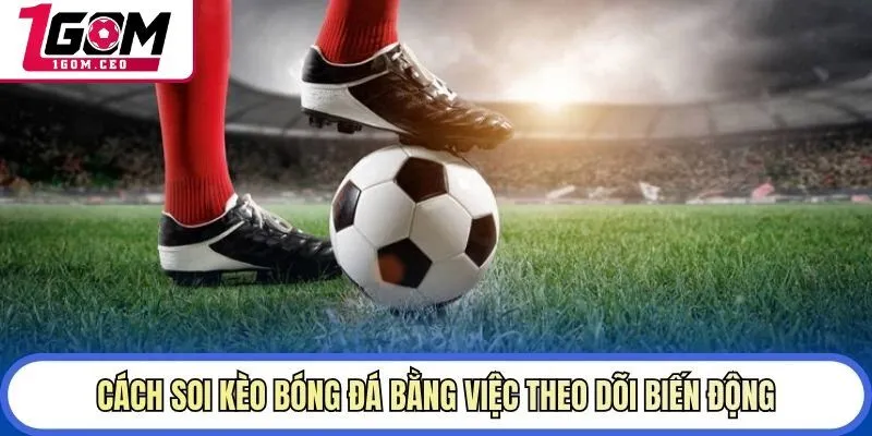 Cách soi kèo bóng đá bằng việc theo dõi biến động