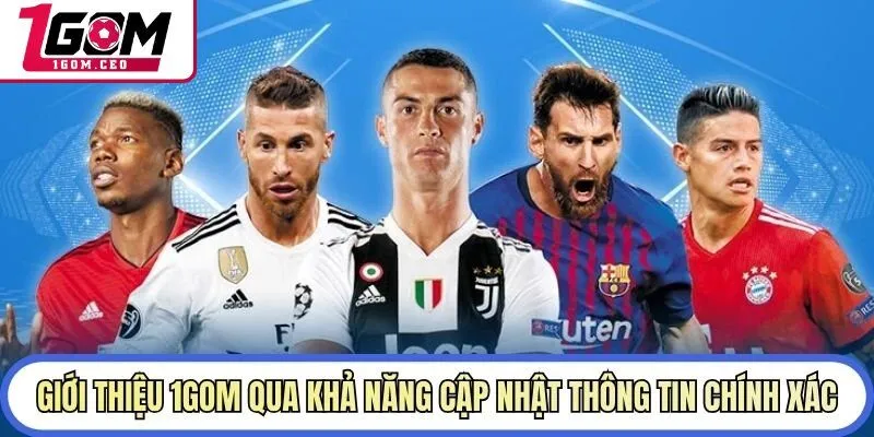 Giới thiệu 1GOM qua khả năng cập nhật thông tin chính xác