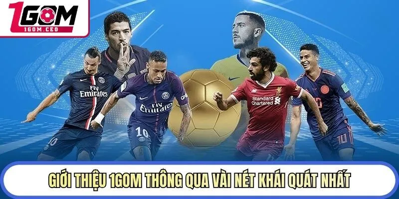 Giới thiệu 1GOM thông qua vài nét khái quát nhất