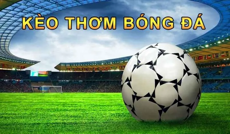 Thông tin các trận đấu bóng đá vô cùng quan trọng