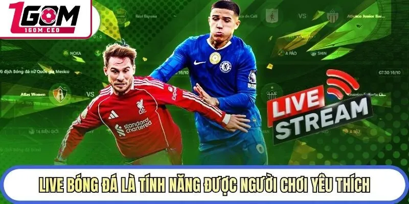 Live bóng đá là tính năng được người chơi yêu thích