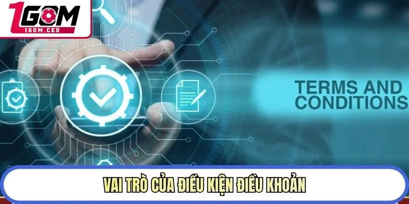 Vai trò của điều kiện điều khoản